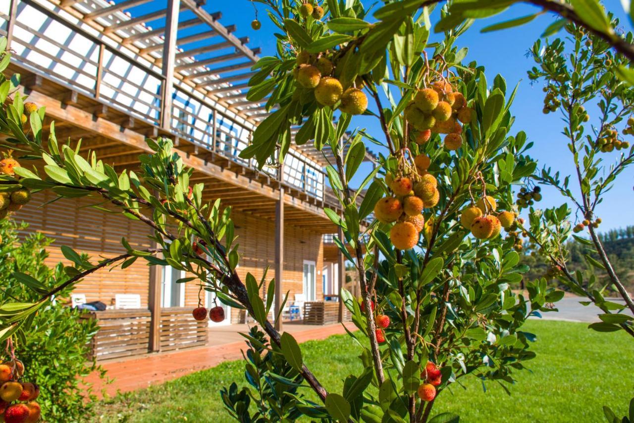 Villa Monte Corgo Da Vaca Sabóia Exterior foto